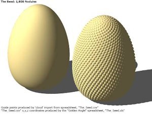 The_Seed_Eden_Project