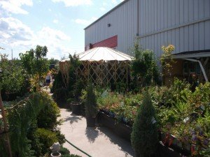 yurt_exterior_3