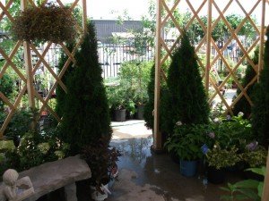 yurt_interior_2