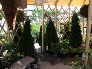 yurt_interior_5