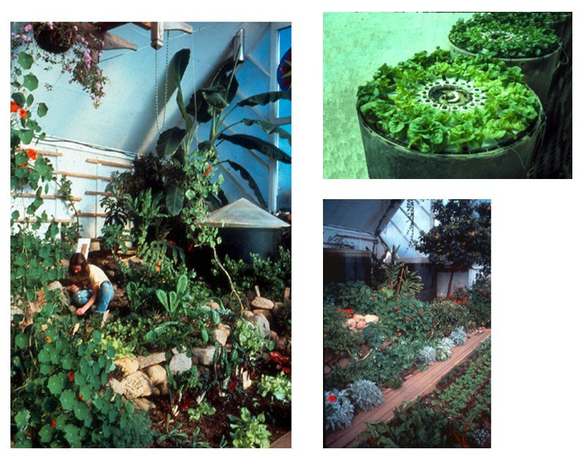 bioshelter_guidebook_nai_14