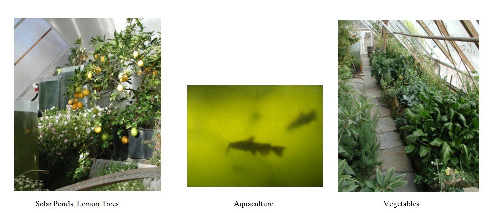 bioshelter_guidebook_nai_18