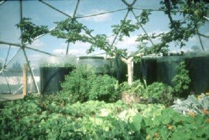 bioshelter_guidebook_nai_43