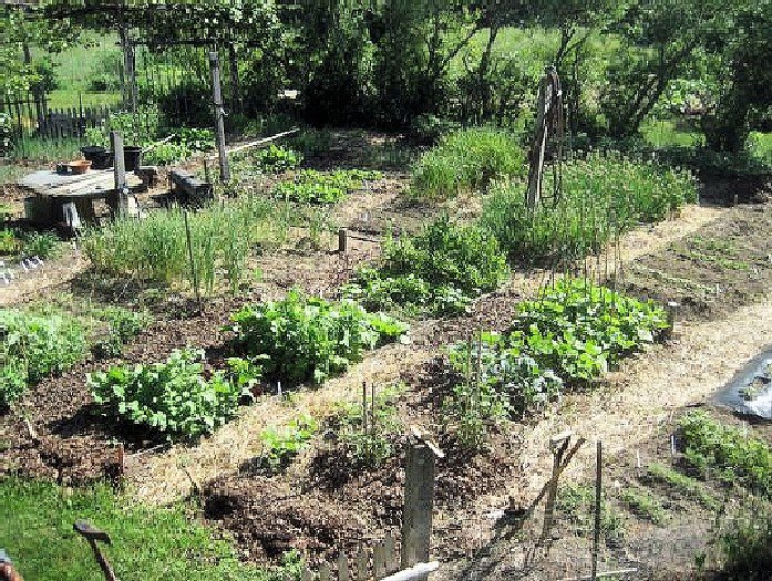 cape_cod_greenhouse_2