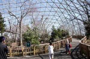 queens-zoo-interior