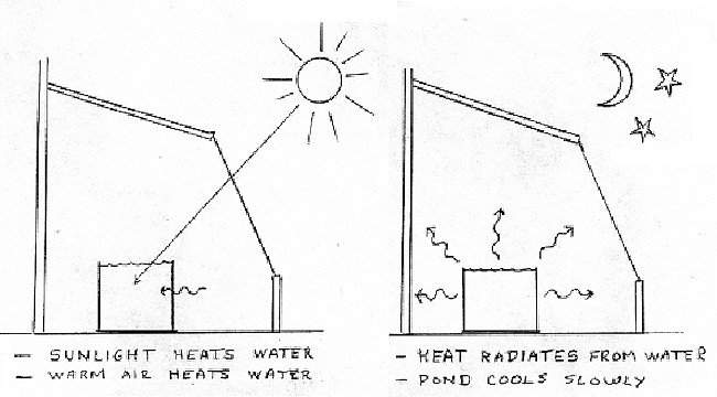 solar_aquaculture_2