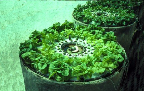 solar_aquaculture_9