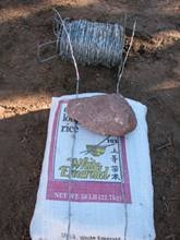 Barbed wire 